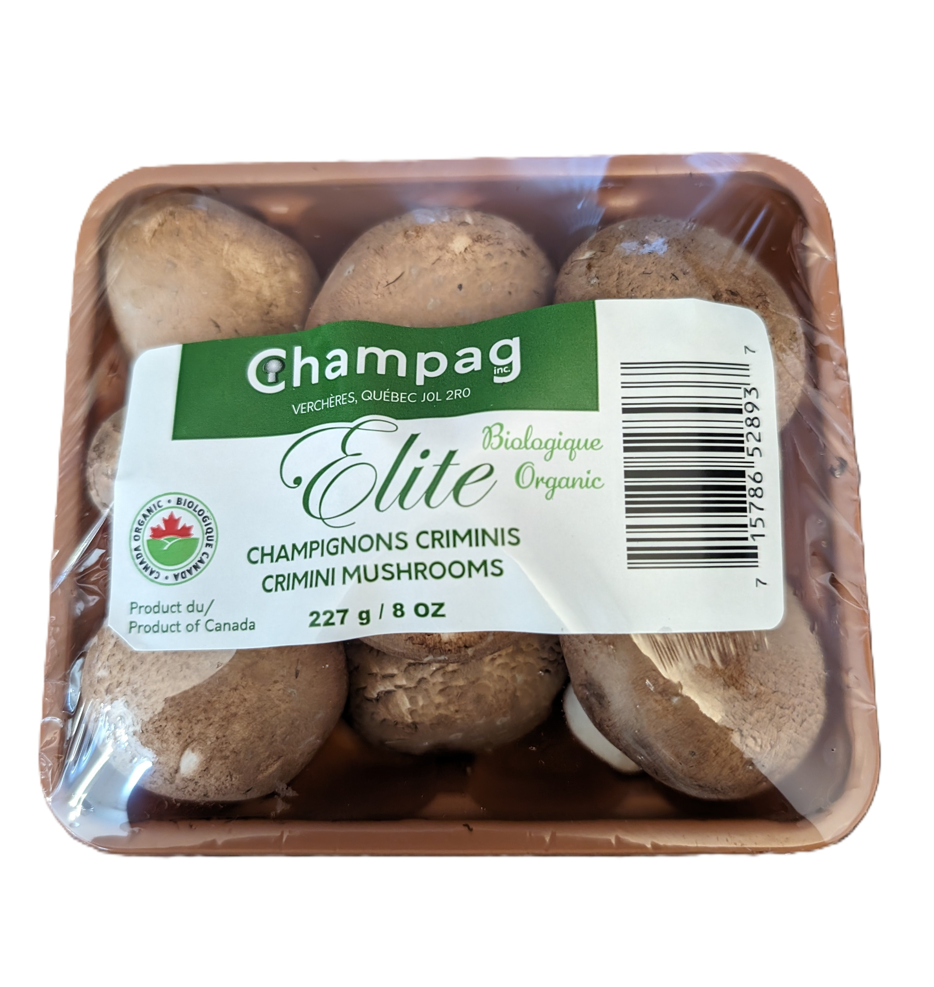 Champignons Crimni