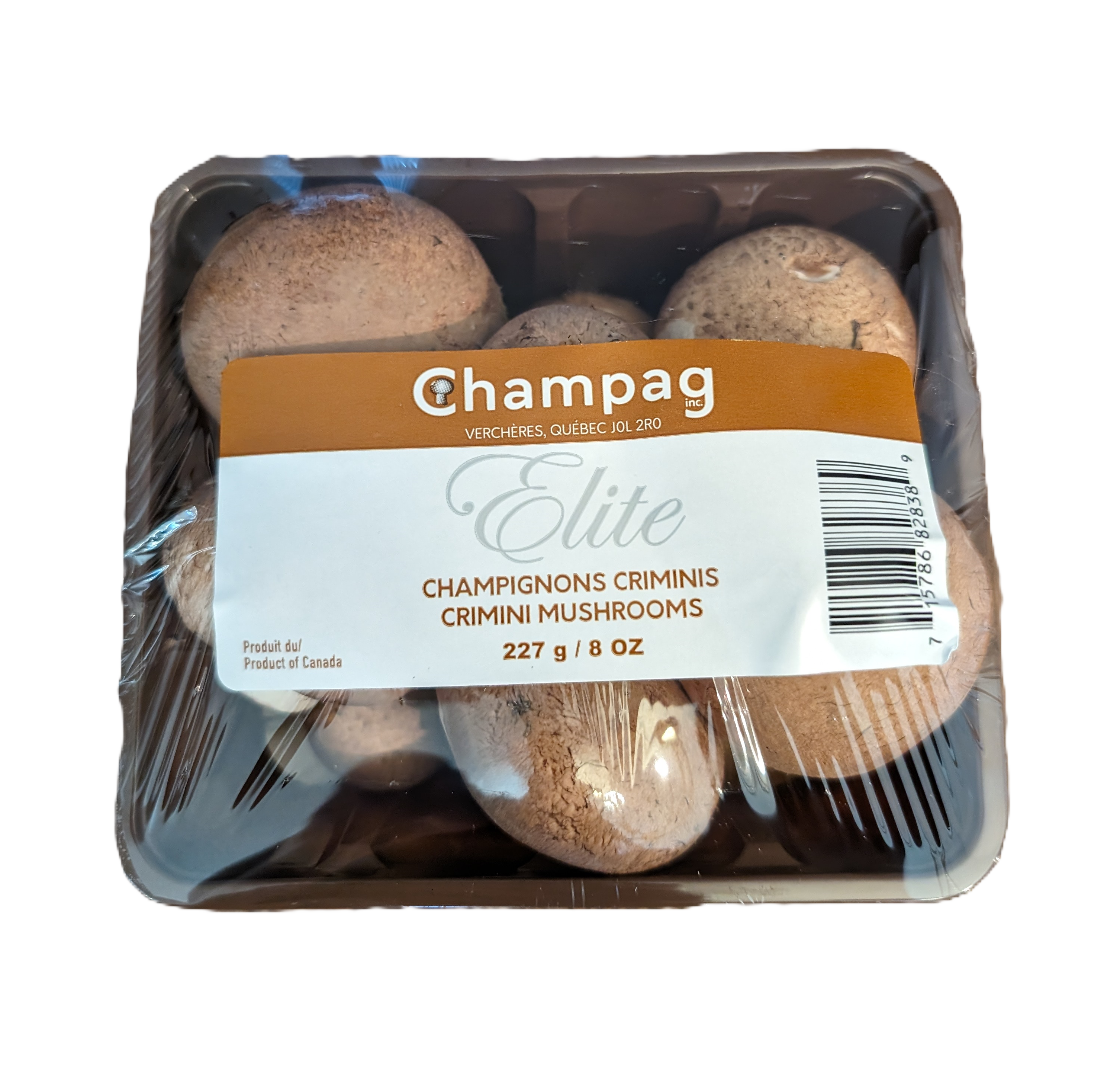 Champignons Portobello